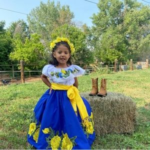 Little girl party dress